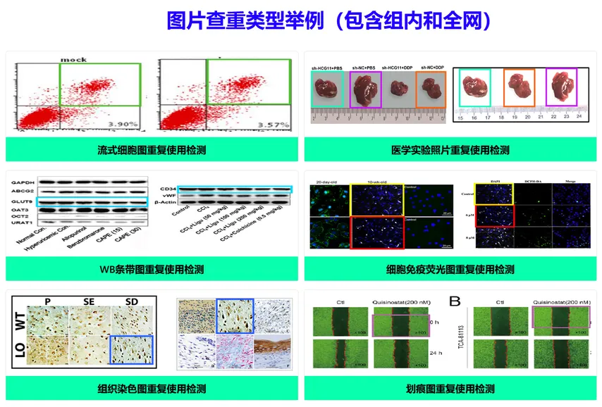 AI图片检测技术