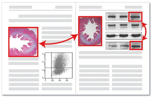 ImageTwin图片查重检测示意图